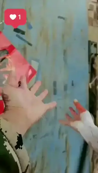 humming bird zelu & hummingbird zelu video| Discov ...| Kwai