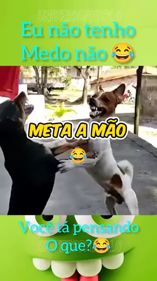 metaua & wonder pets russian meta ua| Discover