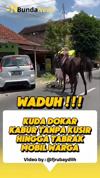 KUDA DOKAR KABUR TANPA KUSIR HINGGA TABRAK MOBIL W ...| Kwai
