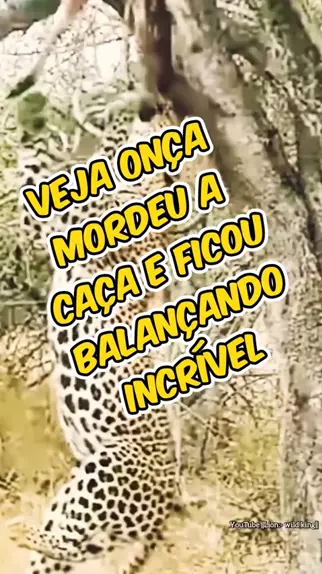 real caca girl leak - Kwai