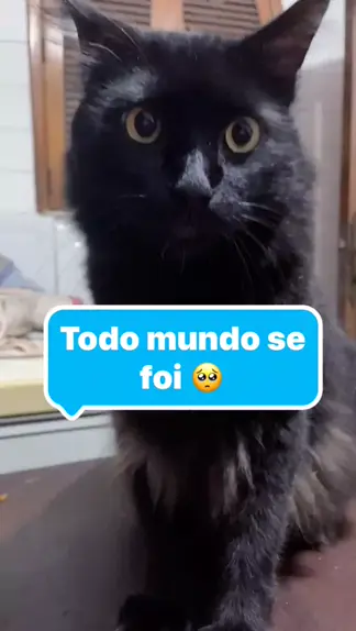 arealblackcat leaks & arealblackcat leak & arealbl| Kwai