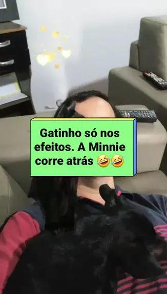 veronica silesto dog videos | Discover