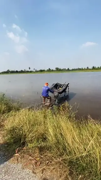 ลองเลียหี