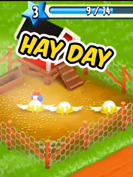 apk day777 apk day777