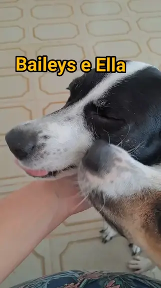 Ellaabailey