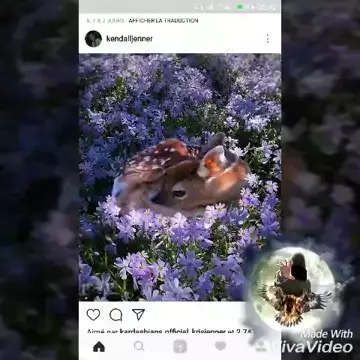 kendall.fr73 | Discover