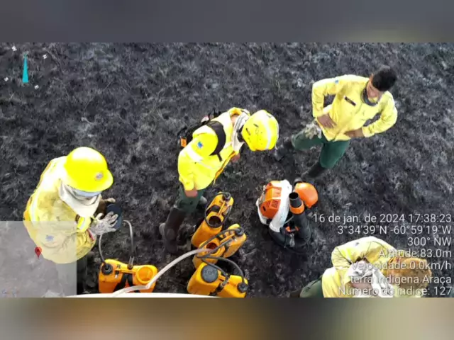 arachu terbaru mediafıre | Discover