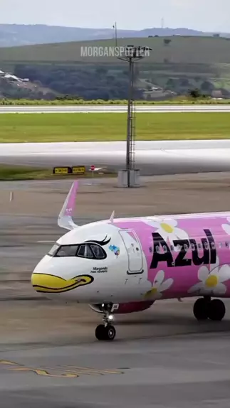 morgan moyer leaked nude & morgan moyer fan pages|Kwai