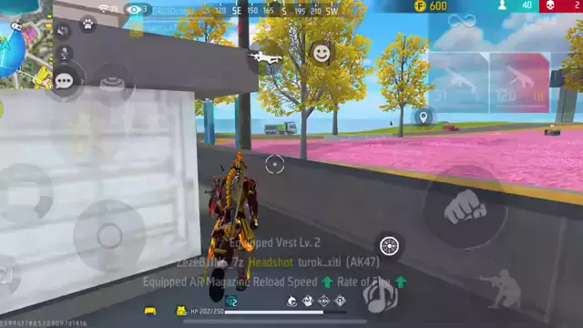 filmbus download for pc