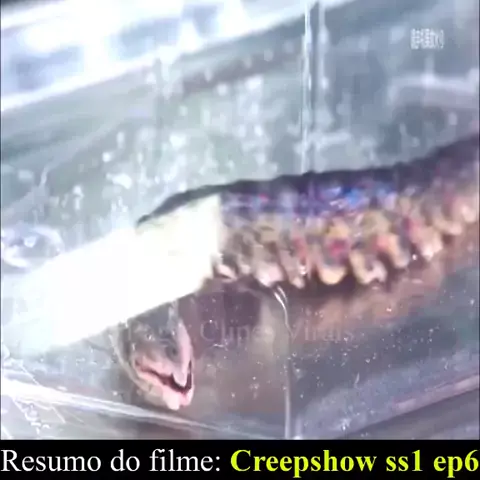 girls on the beach & teen creepshots| Discover