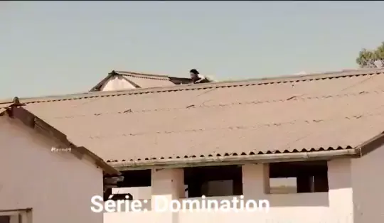 shemale domination videos | Discover