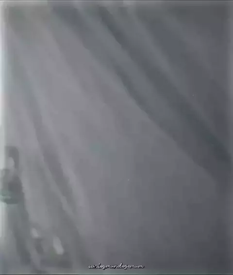 lizzie grey of leak & lizzie grey only leakedDisKwai