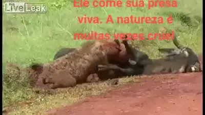 c4miroddd leak video Discover