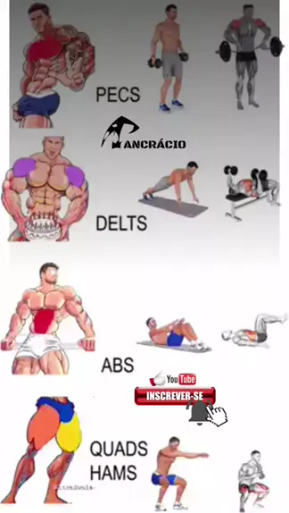 msbrew full video | Discover