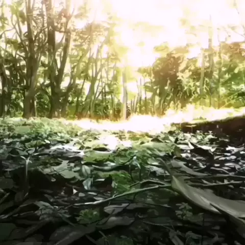 shinseki nio ko to wo tomaridakara