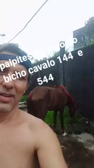 qual o número do cavalo no jogo do bicho