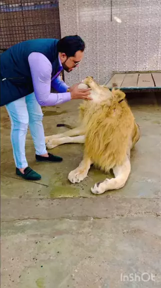 Elizabeth olsen deepfake joi